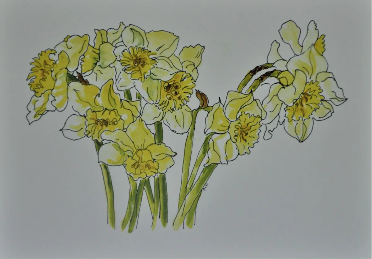 Daffodils Blank Card